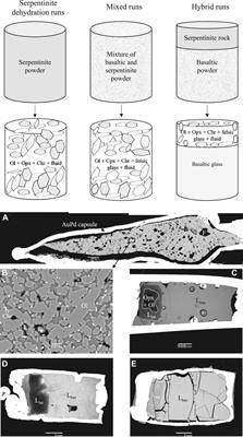 Hydrated Peridotite – Basaltic Melt Interaction Part I: Planetary Felsic Crust Formation at Shallow Depth